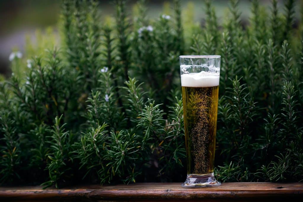 Beer Garden and Gemütlichkeit 