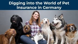 Pet Insurance in Germany