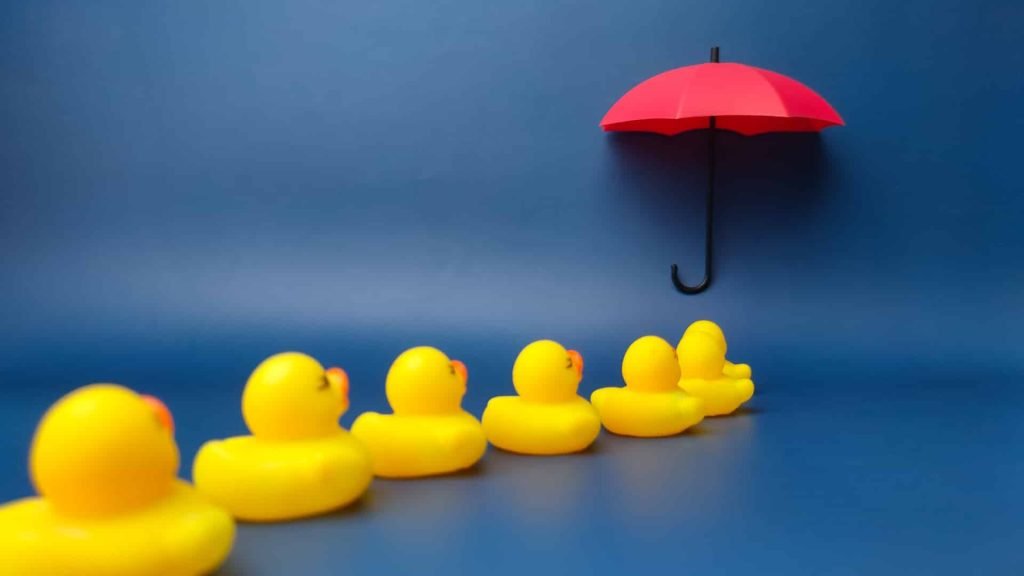 four ducks and an umbrella