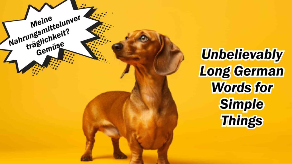20 Unbelievably Long German Words For Simple Things Urban Ground